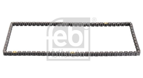 Timing Chain 100629