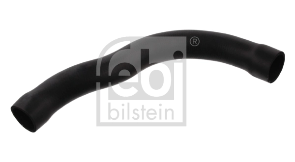 Radiator Hose 33875