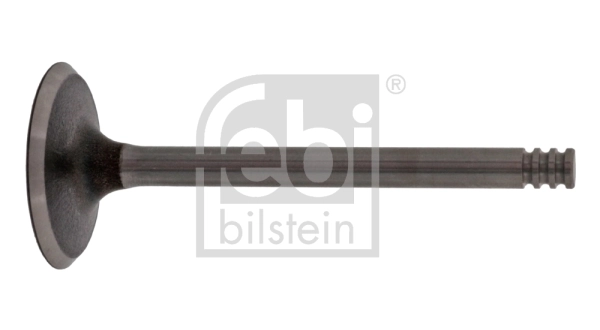 Intake Valve 21020