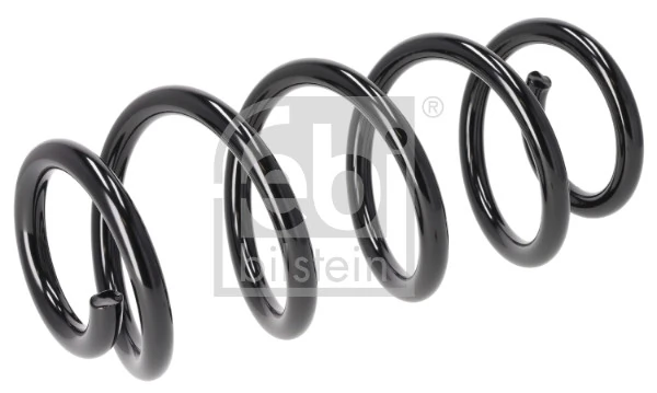 Suspension Spring 196291