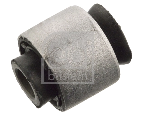 Mounting, control/trailing arm 103365