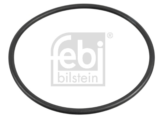 Seal Ring, wheel hub 174689