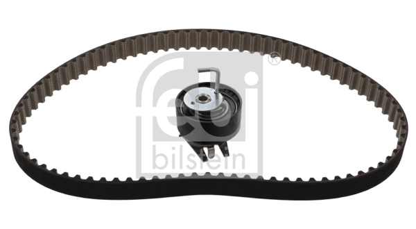 Timing Belt Kit 100724