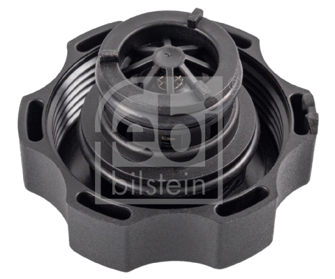 Cap, coolant tank 36579