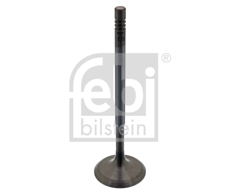 Intake Valve 38604