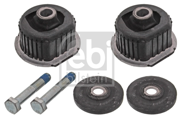 Bush Set, axle beam 06676