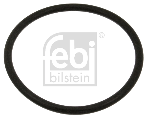 Gasket, coolant flange 18774