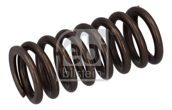 Valve Spring 187748