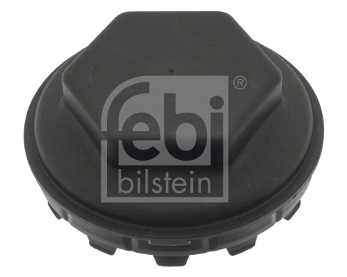 Protection Lid, wheel hub 100282