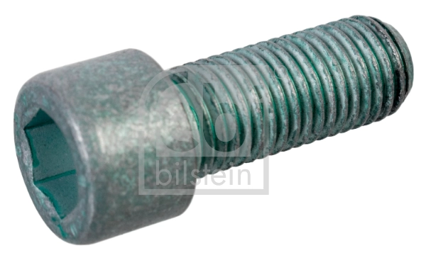 Pulley Bolt 01202