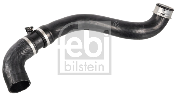 Radiator Hose 172431