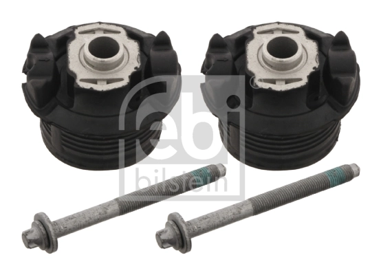 Bush Set, axle beam 29745