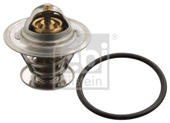Thermostat, coolant 17976