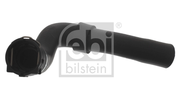 Radiator Hose 34983