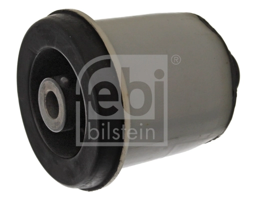 Bushing, axle beam 45087