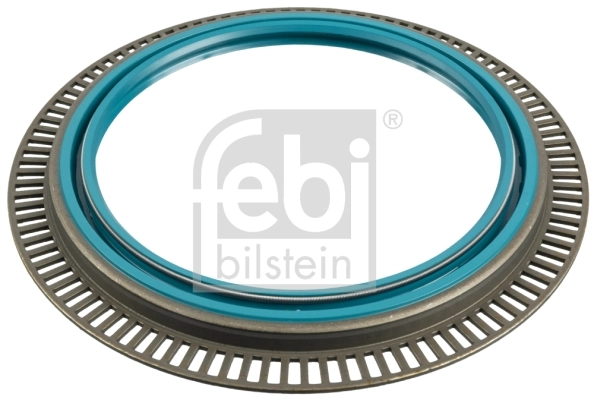 Shaft Seal, wheel hub 06643