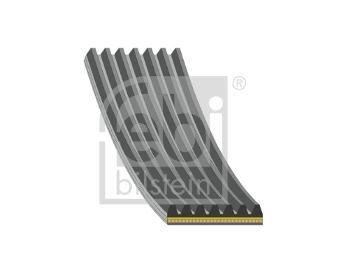 V-Ribbed Belt 184935