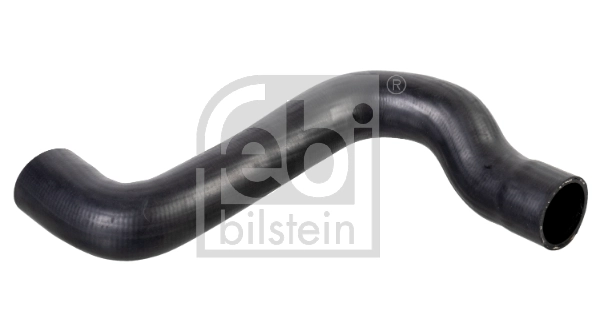 Radiator Hose 174520