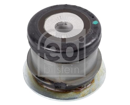 Bushing, axle beam 32619