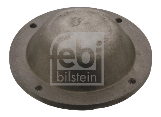 Protection Lid, wheel hub 43768