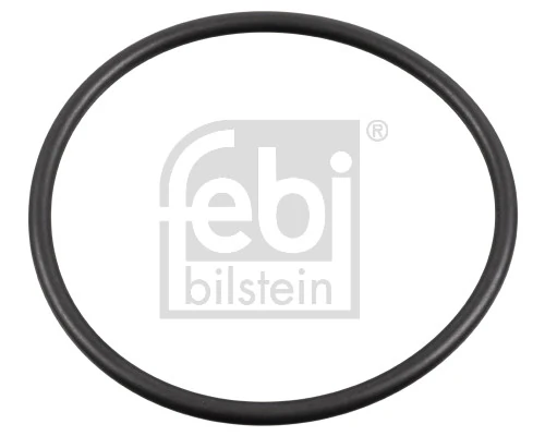 Seal Ring, wheel hub 179379