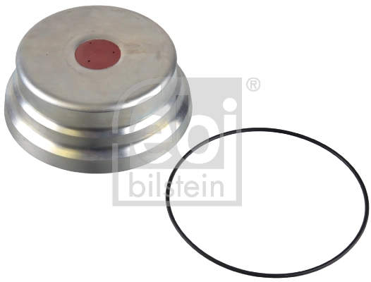 Protection Lid, wheel hub 173100
