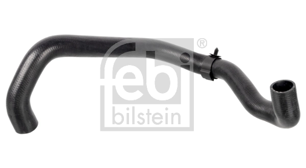 Radiator Hose 174416