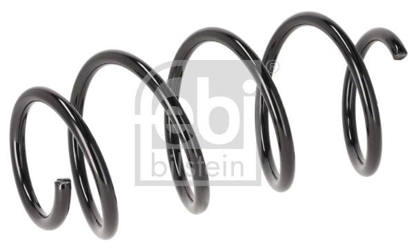 Suspension Spring 196205