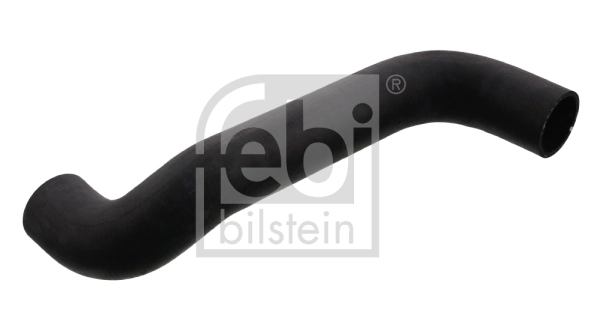 Radiator Hose 100309