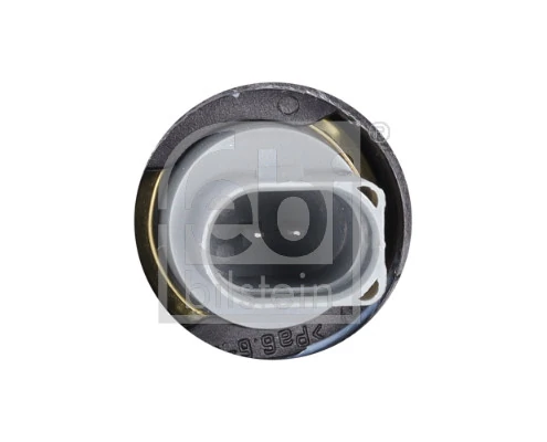 Thermostat, coolant 180451