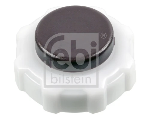 Cap, coolant tank 185504
