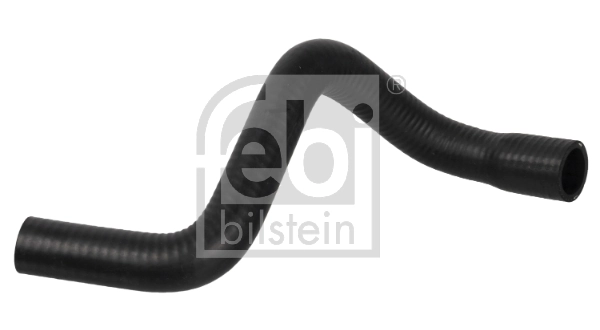Radiator Hose 172844