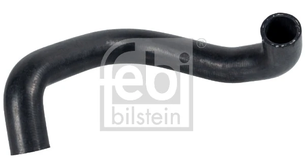 Radiator Hose 172579