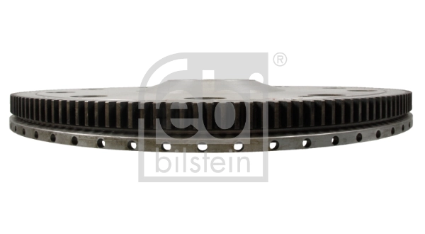 Flywheel 172051