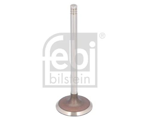 Intake Valve 183492