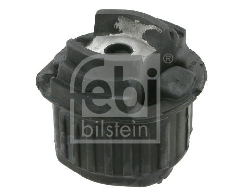 Bushing, axle beam 10256