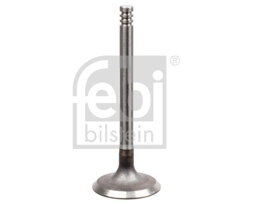 Intake Valve 21210