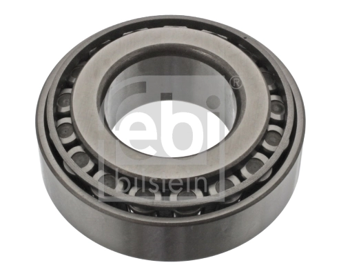 Wheel Bearing 06200