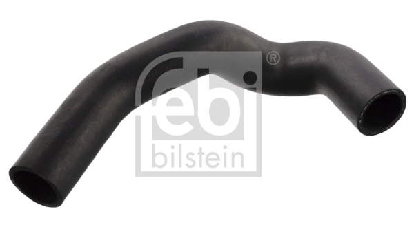 Radiator Hose 12095