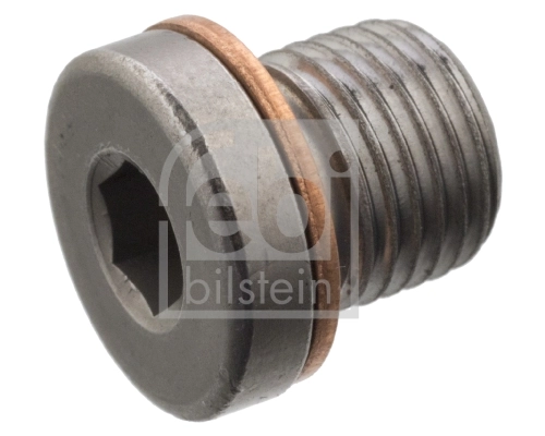 Screw Plug, axle drive 101020