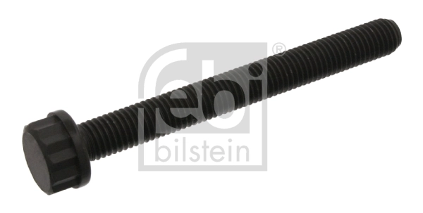 Cylinder Head Bolt 09798