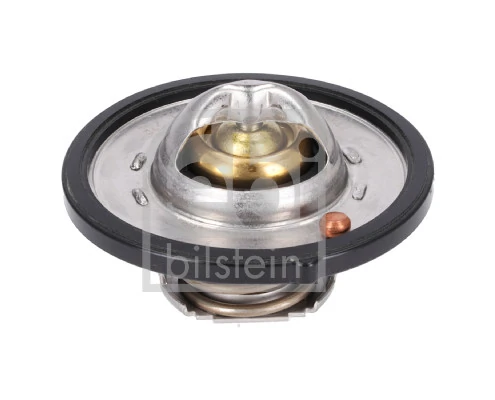 Thermostat, coolant 193096