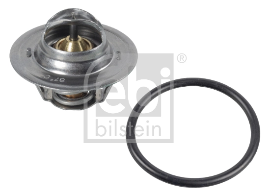 Thermostat, coolant 17890