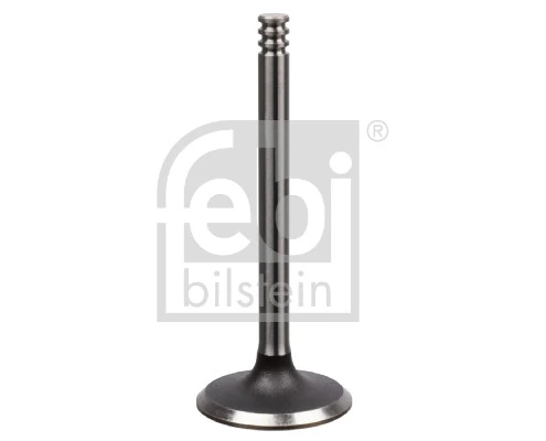 Intake Valve 21018