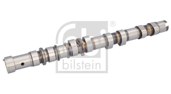 Camshaft 195091