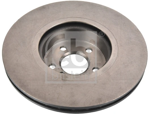 Brake Disc 173011
