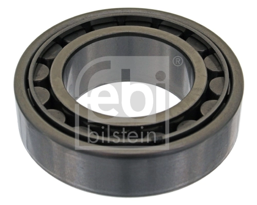 Wheel Bearing 04843