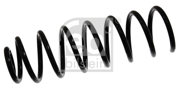 Suspension Spring 46910