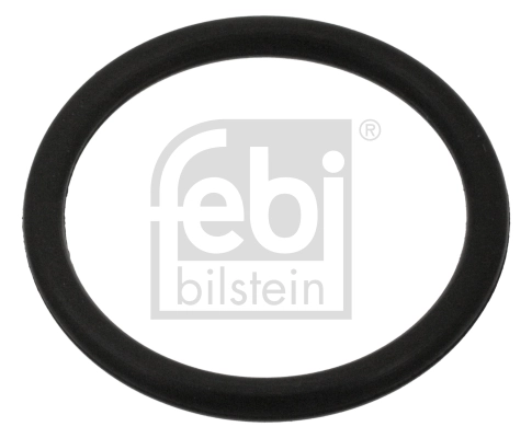 Seal Ring, oil drain plug 100999