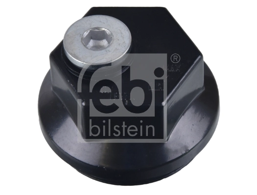 Protection Lid, wheel hub 172480